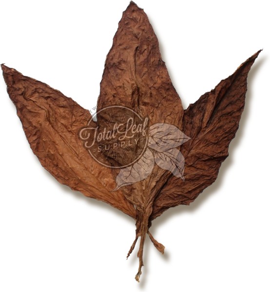 Glasgow Magistrate Wrapper Leaf Tobacco Glasgow Magistrate Wrapper Leaf Tobacco