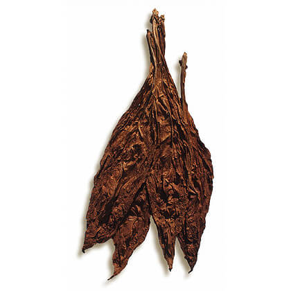 Picaroon Wrapper Leaf Tobacco Picaroon Wrapper Leaf Tobacco
