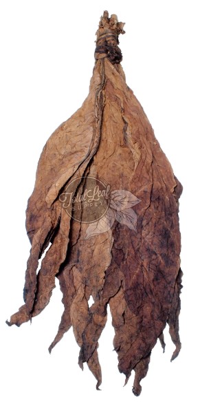 Aged Glasgow Magistrate Wrapper Leaf Tobacco Aged Glasgow Magistrate Wrapper Leaf Tobacco
