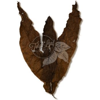 African Cameroon Solid Leaf