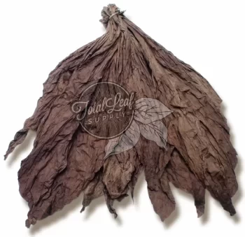 Ecuadorian Seco Cuban Seed Wrapper