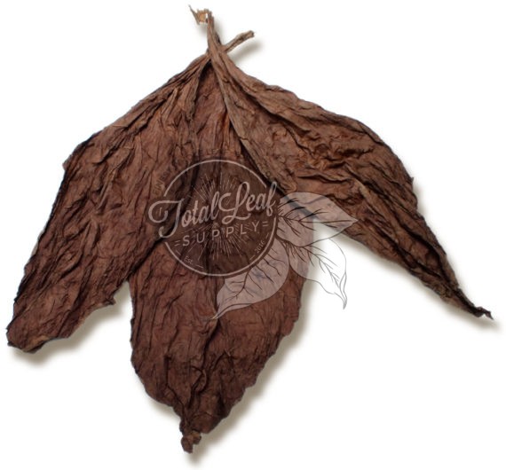 Ecuadorian Seco Cuban Seed Wrapper Leaf Tobacco Ecuadorian Seco Cuban Seed Wrapper Leaf Tobacco