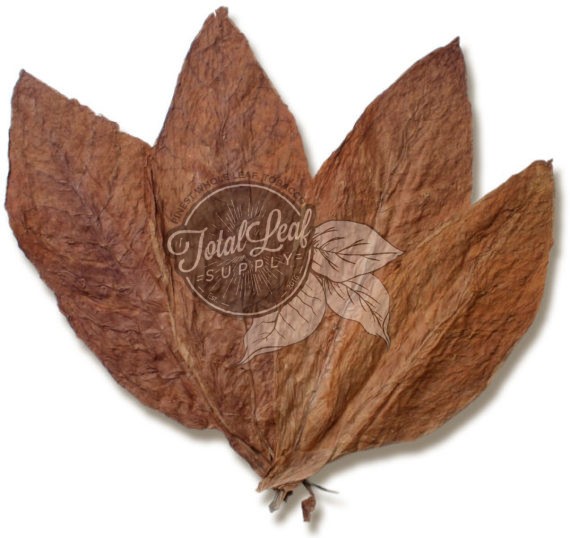 French Burley Wrapper Leaf Tobacco French Burley Wrapper Leaf Tobacco