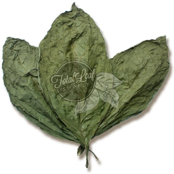 Candella Wrapper Leaf Tobacco Candella Wrapper Leaf Tobacco