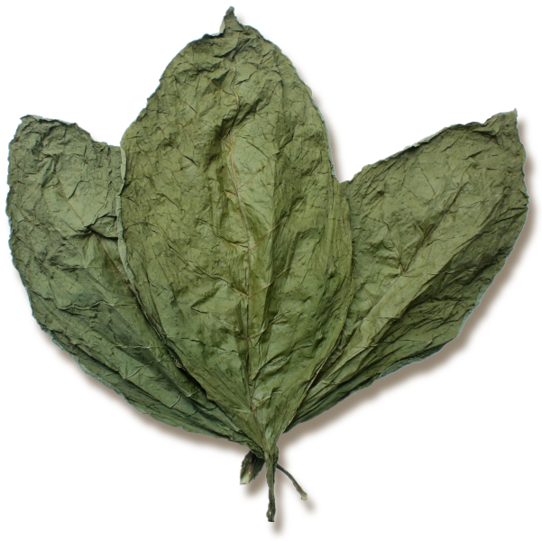 Shade Tobacco Buyers Guide