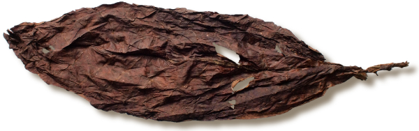 Paraguay Doble Solid Leaf - Image 2