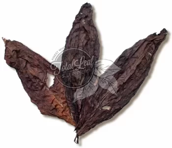 Paraguay Doble Solid Leaf