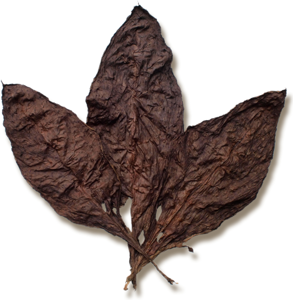 Gluten Free Cigars