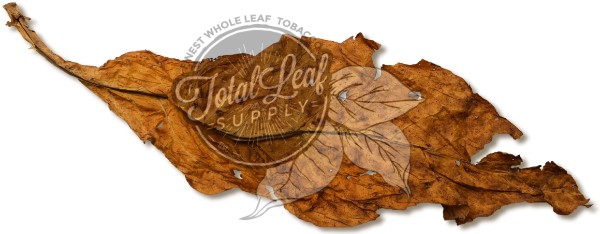 Virginia Flue Cured Orange Leaf (BFR) - Image 2