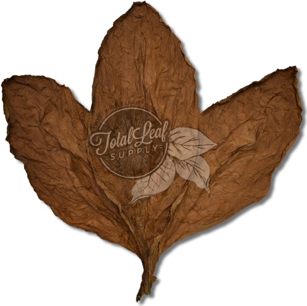 Ecuadorian Habano HS Wrapper