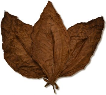 Ecuadorian Habano LS Wrapper