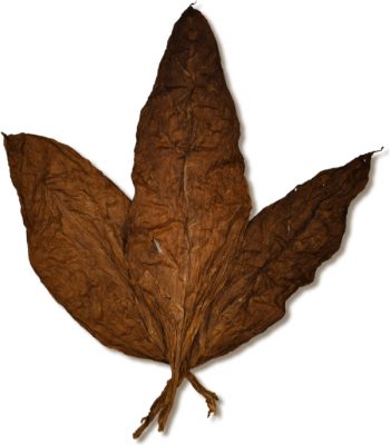 French Dark Air Cured Wrapper
