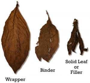 Grades of Tobacco Leaf