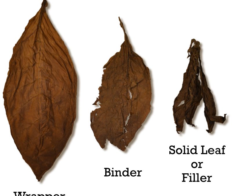 Cigar Terminology Guide