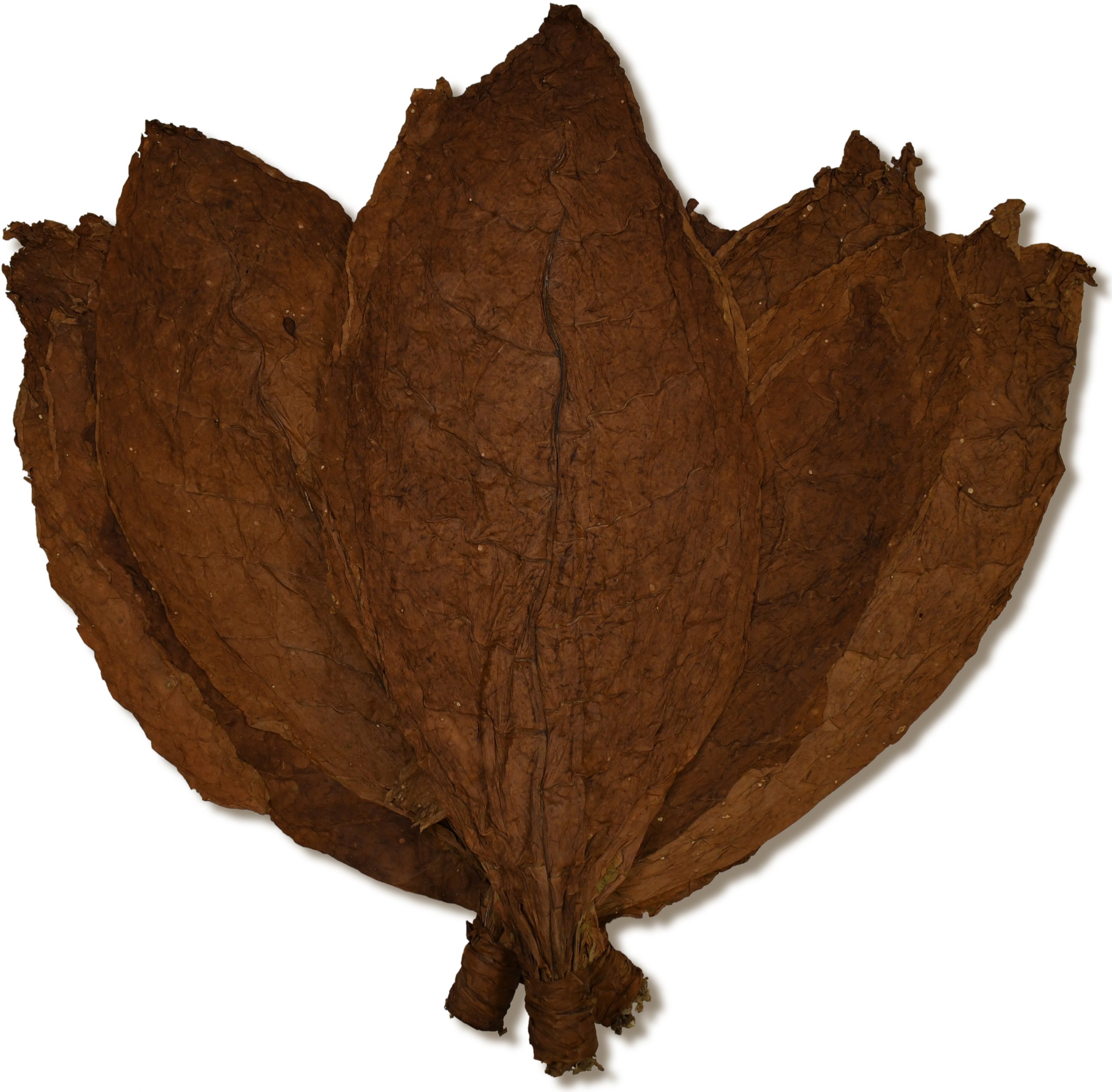 Uganda DAC Wrapper