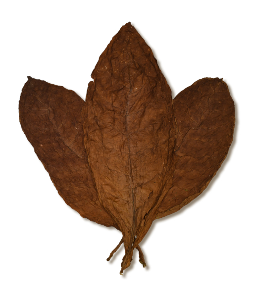 Uganda DAC Wrapper, available for sale
