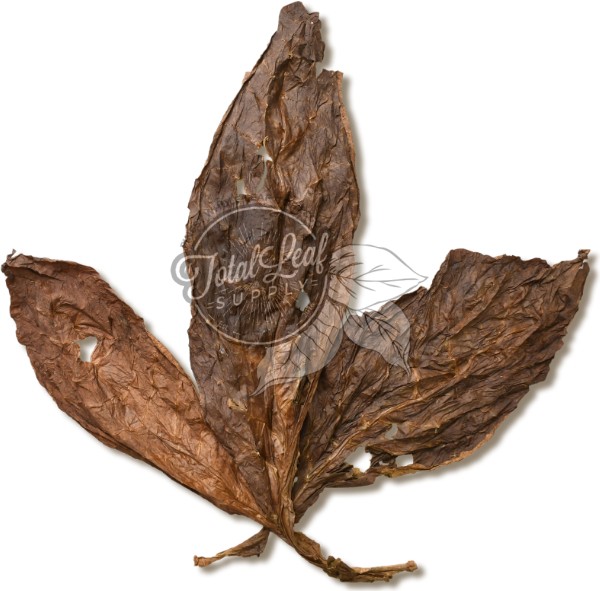 Dominican Piloto Solid Leaf, available for sale