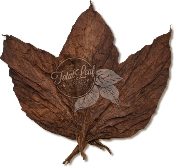 Ecuadorian Habano 2000 Ligero Wrapper, available for sale