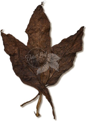 CT Broadleaf Wrapper