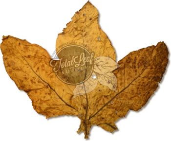 Virginia Flue Cured (BFL)